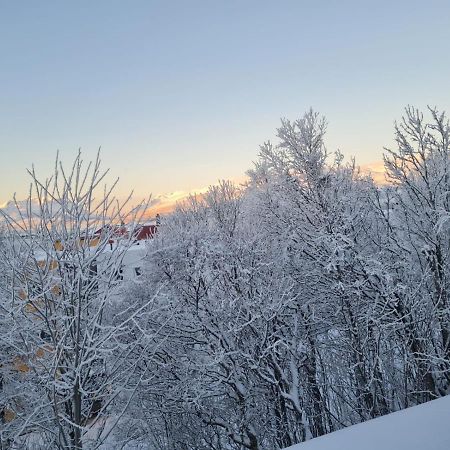 36 Sqm Studio Aparatment B Tromsø Eksteriør billede