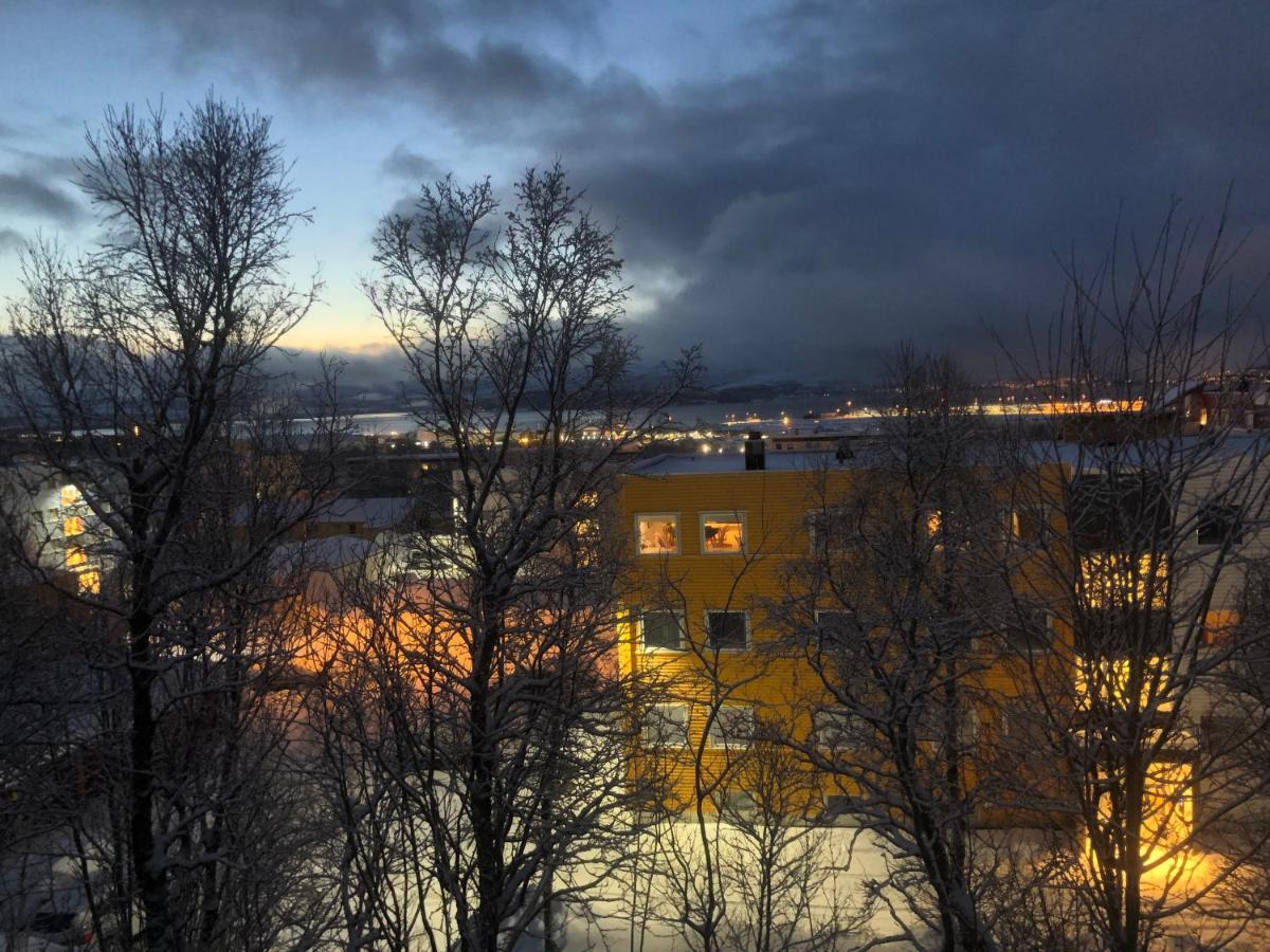 36 Sqm Studio Aparatment B Tromsø Eksteriør billede